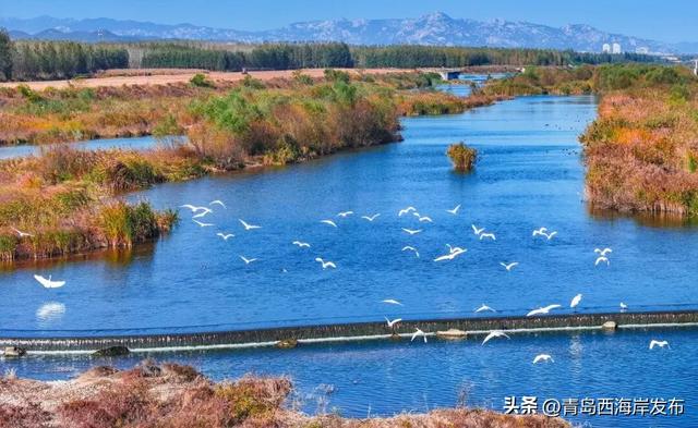 走不出这画了,我已被西海岸的秋景迷倒 🥹