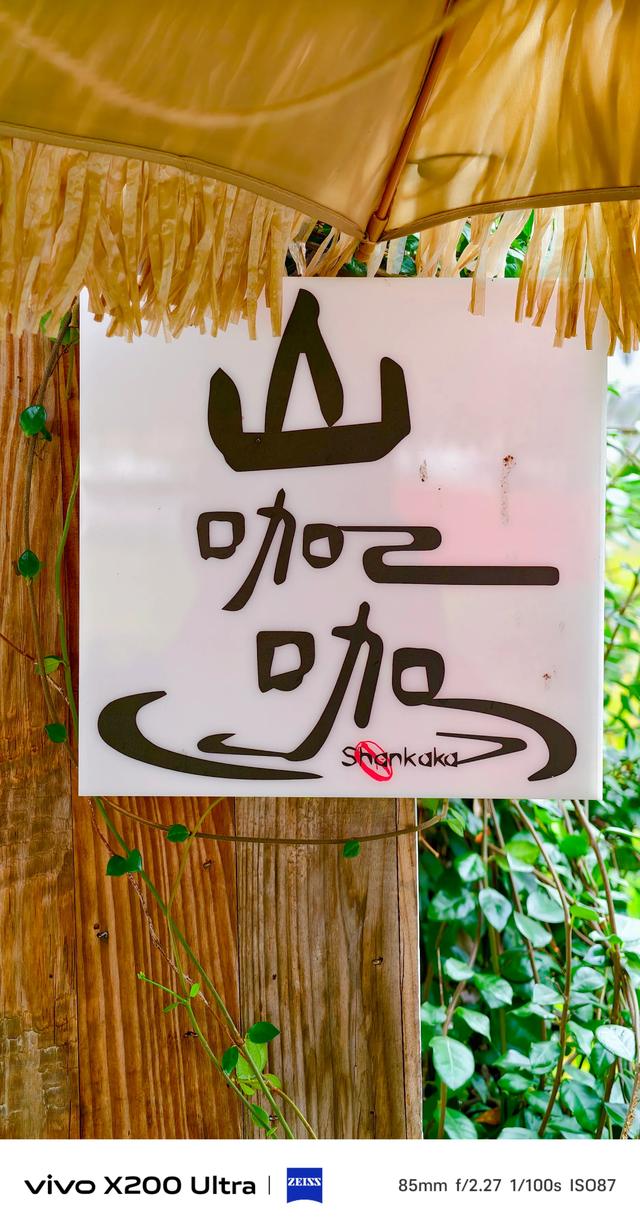 稻田边喝咖啡☕️，感受田园风光