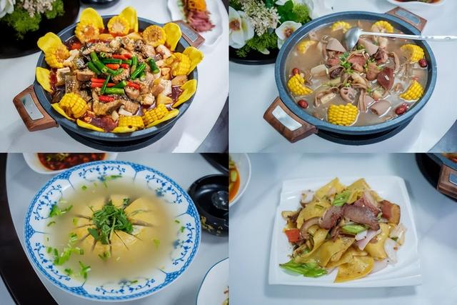 佛坪晚夏寻凉意，猫进秦岭躲避“秋老虎”！