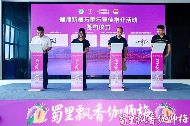 精彩回顾：2025中国新疆喀什·伽师新梅万里行宣传推介活动成都站、长沙站高光图集来啦！