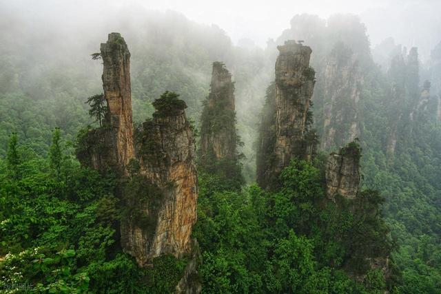 北京没想到，河北也没想到，现在的张家界	，怎么突然这么火了！