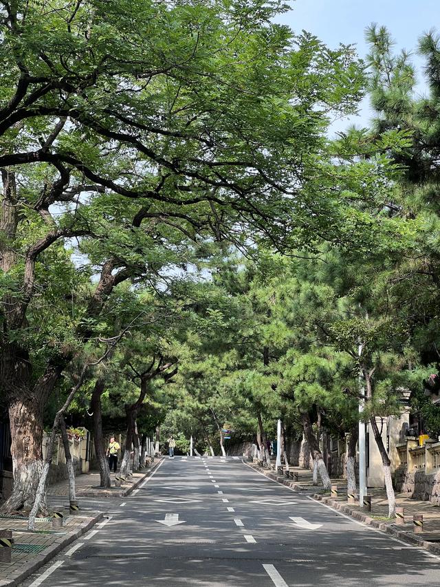 毗邻八大关，无敌海景、欧式建筑、葱郁柏树，这里一处宝藏景区。