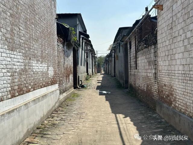 冠县乡韵·兰沃乡大柳邵村