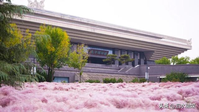 咔嚓🤳！抓住济宁秋天的“小尾巴”~