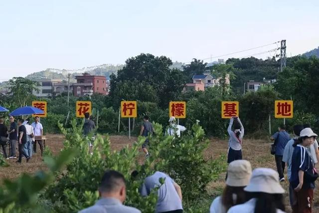 甜甜甜！“保姆级”采摘攻略！周末就出发→