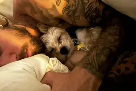 终于秀恩爱！海莉晒比伯入睡照力破分居传闻图片