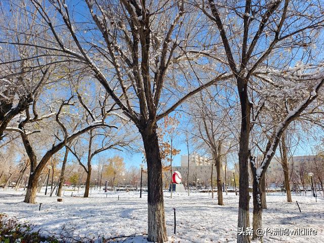 新疆乌鲁木齐红光山大佛寺