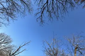 去过法库蛇山沟 才懂得冬日徒步的快乐图片