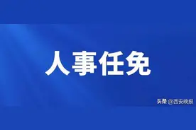 陕西省政府发布一批人事任免图片