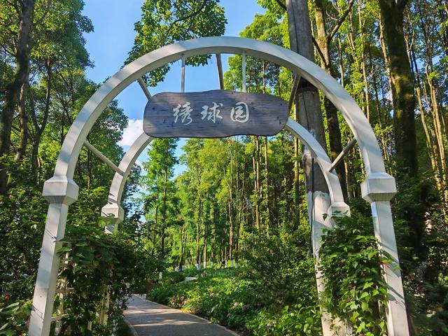 北方高温持续，全球变暖，贵阳“避暑之都”的含金量还在上升！