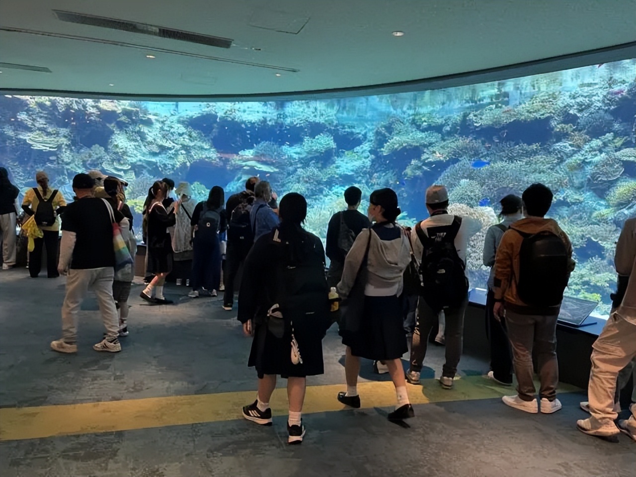 请输入图片描述 请输入图片描述