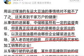 汤家凤：外资企业用工业油车运油，反手抹黑中储粮，这里面不简单图片