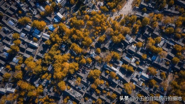11月旅游的目的地推荐|每一个都是出片圣地的存在