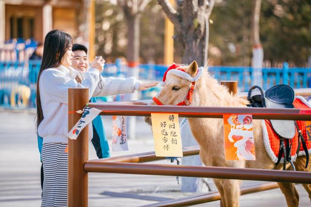 游八仙，赏烟花！大同方特超长烟花派对解锁民俗新体验