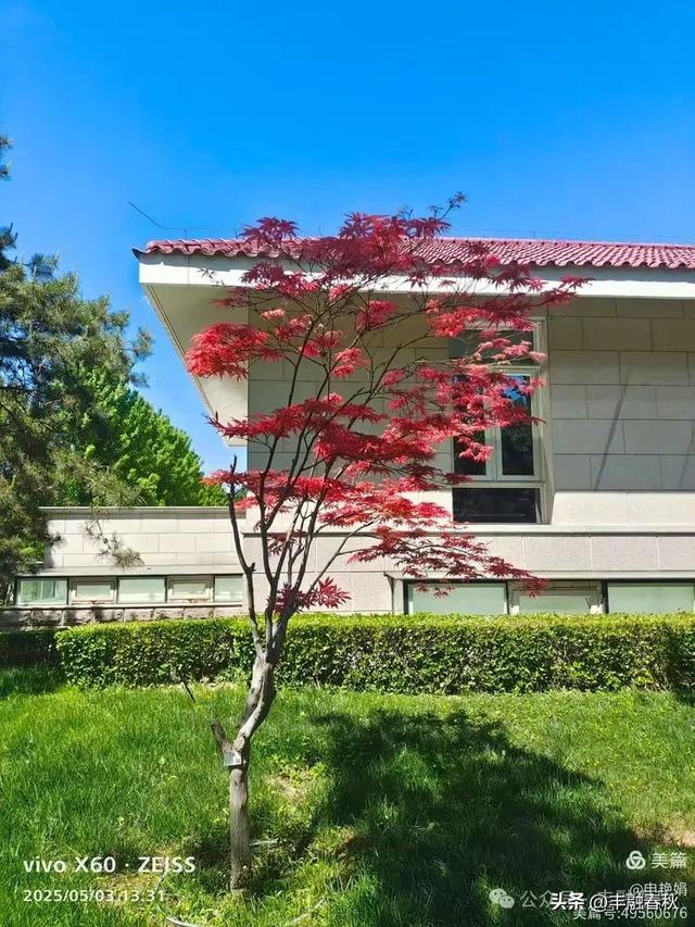 申艳娟｜北京宽沟会议中心：京郊的宁静桃源