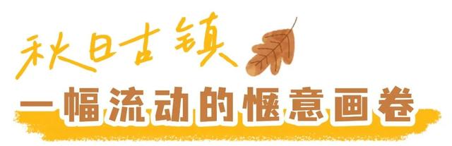 走，去水磨！在青瓦老街里“躺平”一个秋天