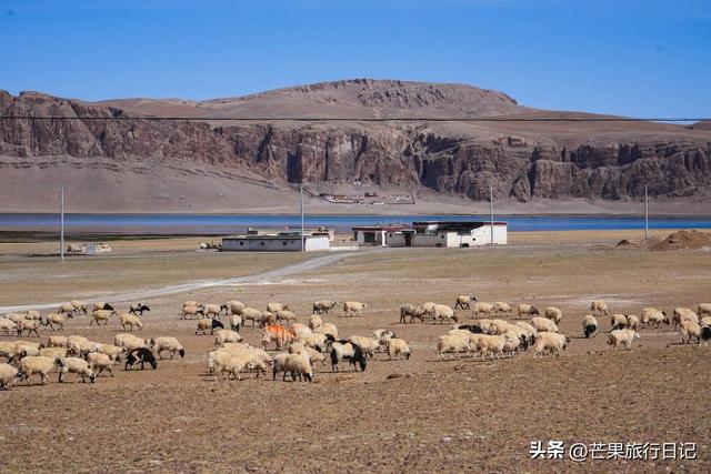 西藏有个县，名气不大，却有媲美马尔代夫的风景和罕见的野生动物