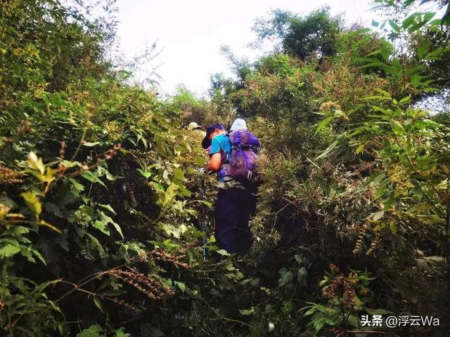​​​忍着胸上方肋骨的疼痛，爬了个齐长城，累计拔高900+，走了13公里
