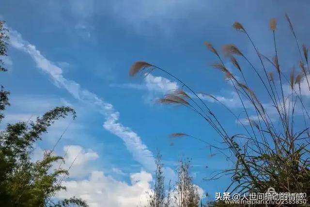 我们的相遇十分不易，我会珍惜每一瞬间，遇到你，真好