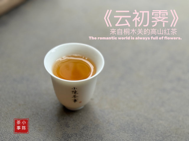 正宗金骏眉什么价位？市面上几十块的金骏眉，能买吗？答案来了