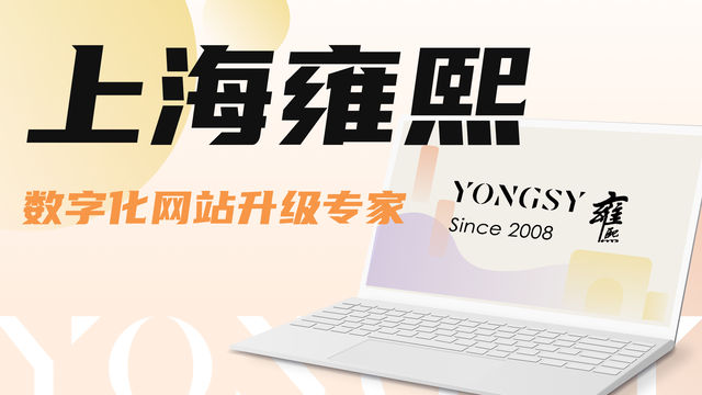 2025年网站建设公司排名揭示：专注垂直领域的高端网站建设公司