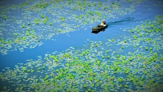 “儒韵济泰·多彩旅程”五大主题旅游线路来啦