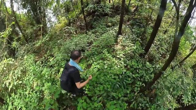 重庆沙坪坝发现神秘洞府，满壁文字暗藏玄机，主人疑是避世高人