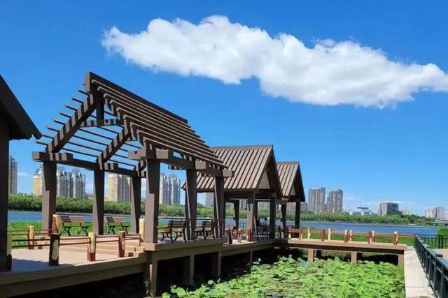 河道沿线公园明日开园，逛公园赏秋景喽