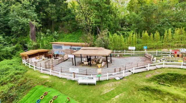 周末出发!嘉陵江湾有这些新“耍”事