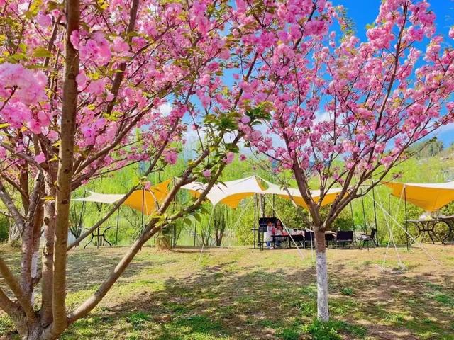 放春假啦,桐梓春日玩法上新,等你去解锁