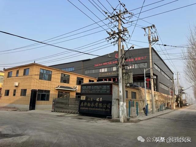 冠县乡韵·清水镇后井寨村