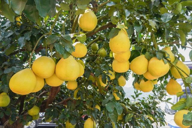 梅州五华深度游｜足球之乡靠赛事玩转出全链条魅力