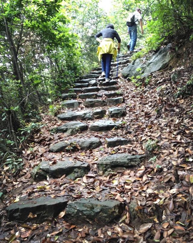 富阳3条古道，全省出名了！经过你们村吗？