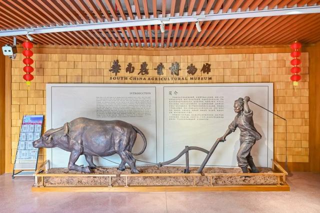 “在广州别只知道去省博，这些才是真香！”