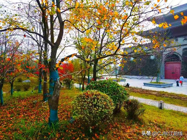 河南淮滨：初冬文化园更艳丽