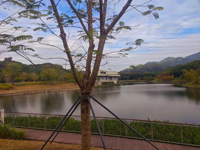 环西丽湖绿道骑行慢行随拍-动个好奇心