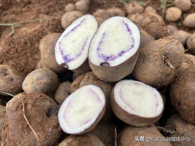 燃情火把·多彩仁和丨仁和火把节怎么玩？最全玩“火”攻略来啦！
