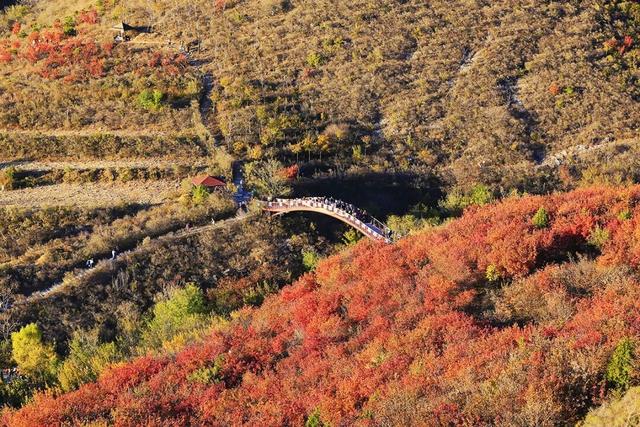 燕谷犹在，秋意正浓：李白诗里的舞彩浅山什么样？