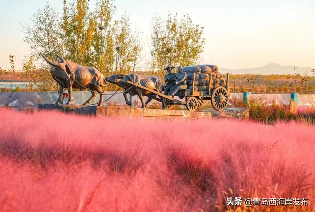 走不出这画了,我已被西海岸的秋景迷倒 🥹