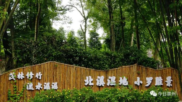 最快30分钟!河滩玩水、捉鱼虾、划竹筏…没有门票!