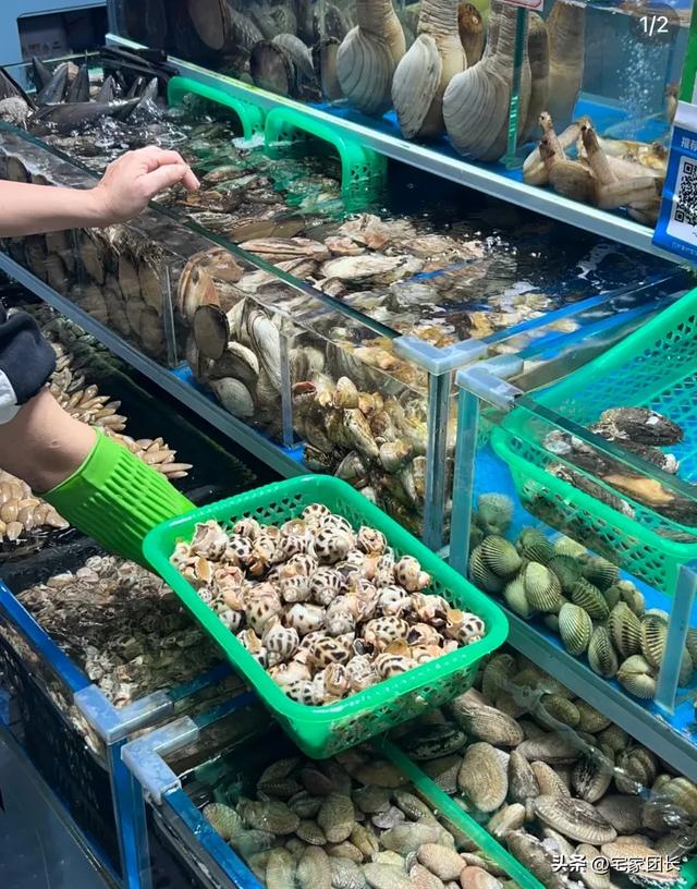 我是宁波人，去了趟三亚才懂：这地方火得根本藏不住！
