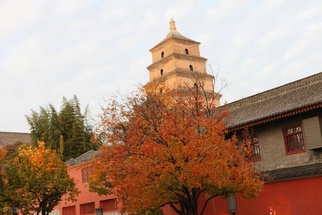 亲情在车轮上流淌 ——载着父母去旅行 之 绕过城市