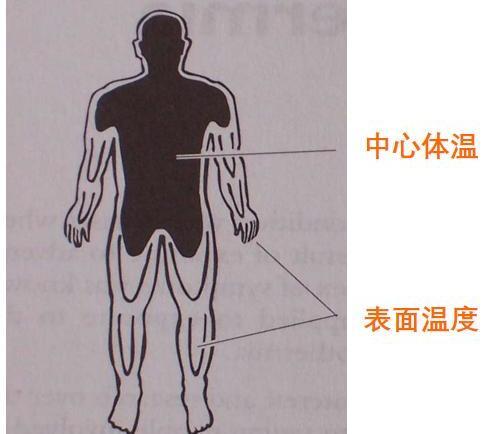 链子解不开？鳌太“死亡线”的挑战与迷局