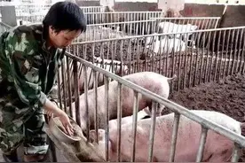 我国应该禁止农民在村子中间养牛养马养猪，因为污染太大农民不满图片