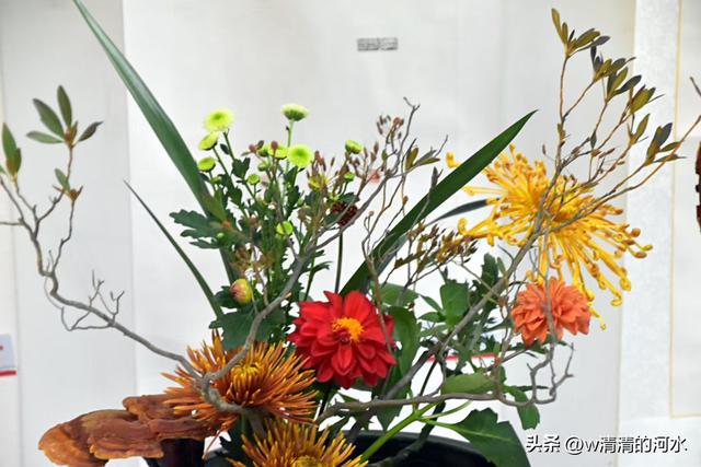 菊花是秋天里美丽的图画