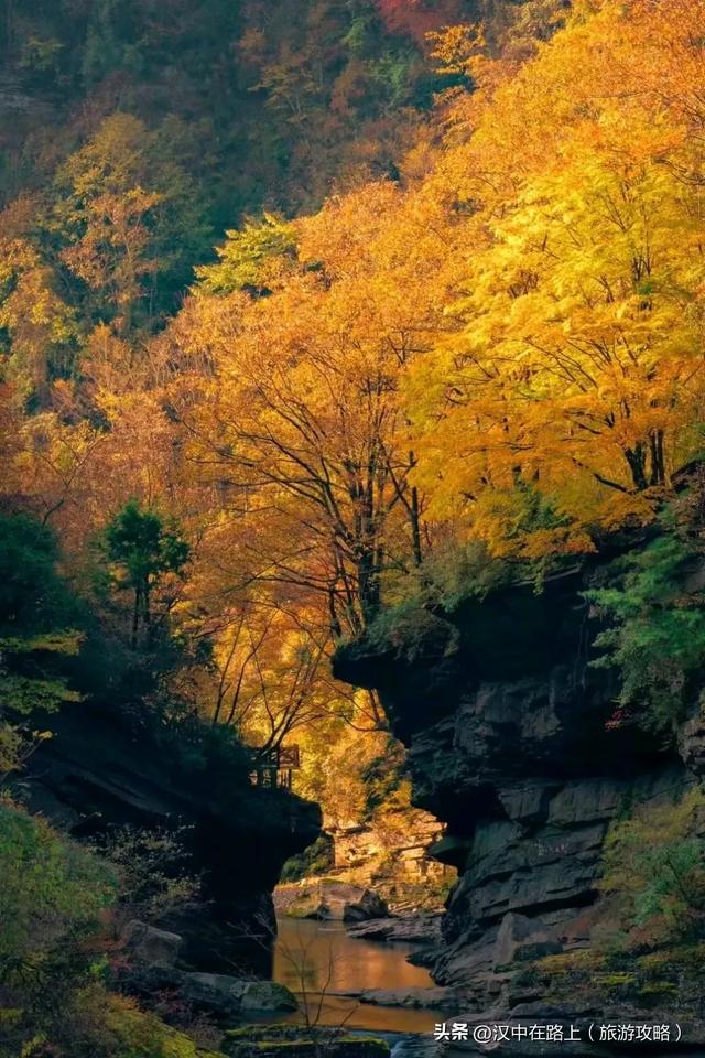 汉中这处红叶已进入最佳观赏期