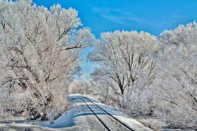 四季更迭，风光无限，跟着时节走，品初冬醉人的诗意