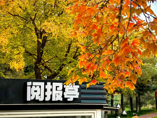 浞景无边，快乐亦无边~