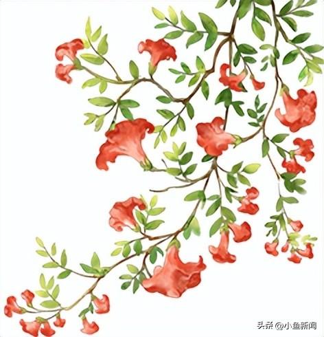 谁说夏天没花看？苏州园林偷偷美翻了！