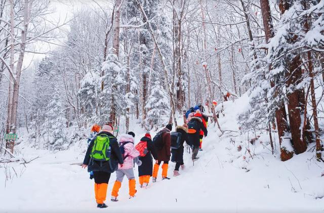 @在外的老铁：今年冬天 等你回家